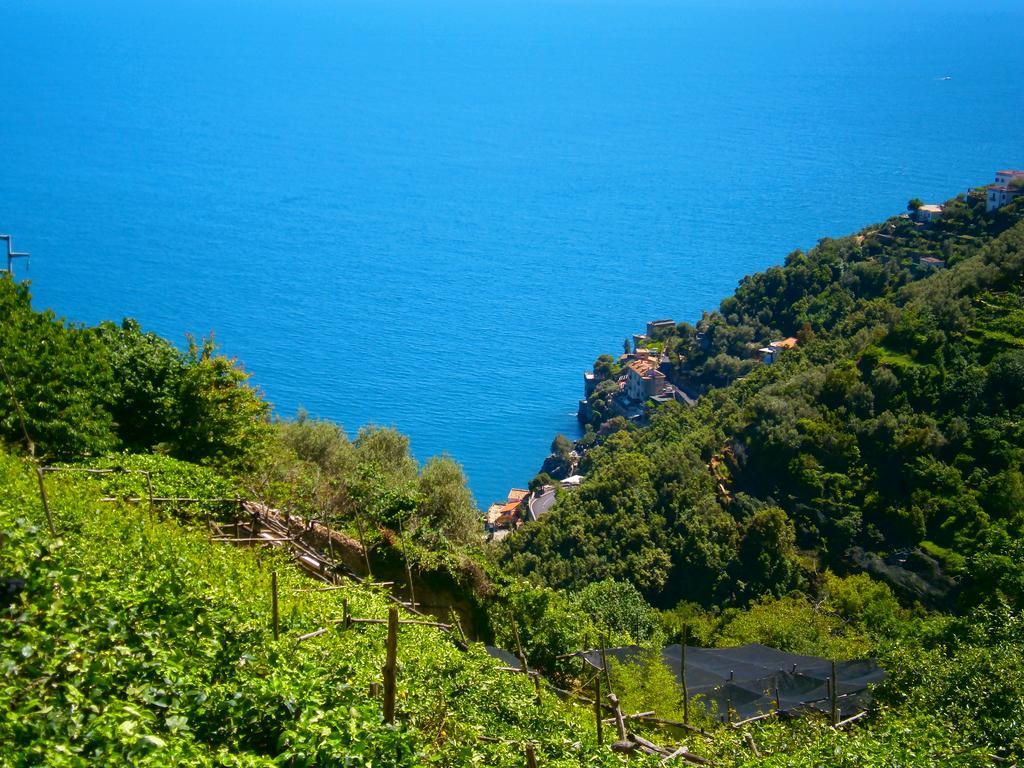 Villa En Rose Ravello Szoba fotó